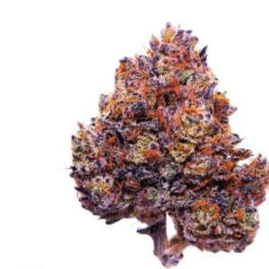 Purple Haze STRAIN THCA Flower