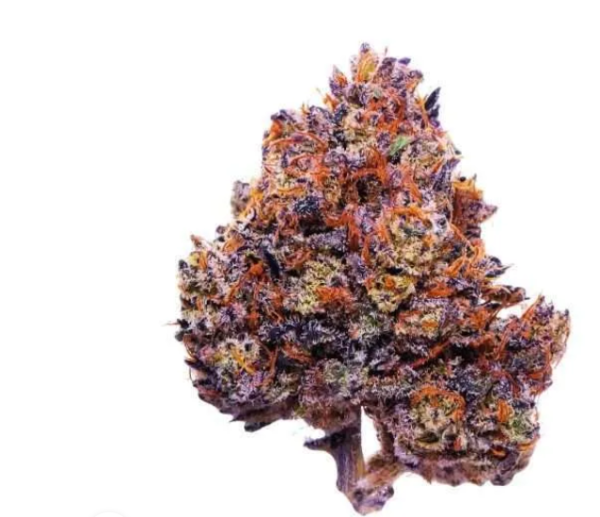 Purple Haze STRAIN THCA Flower