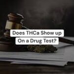 How Long Does THCA stay in your system?