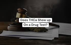 How Long Does THCA stay in your system?