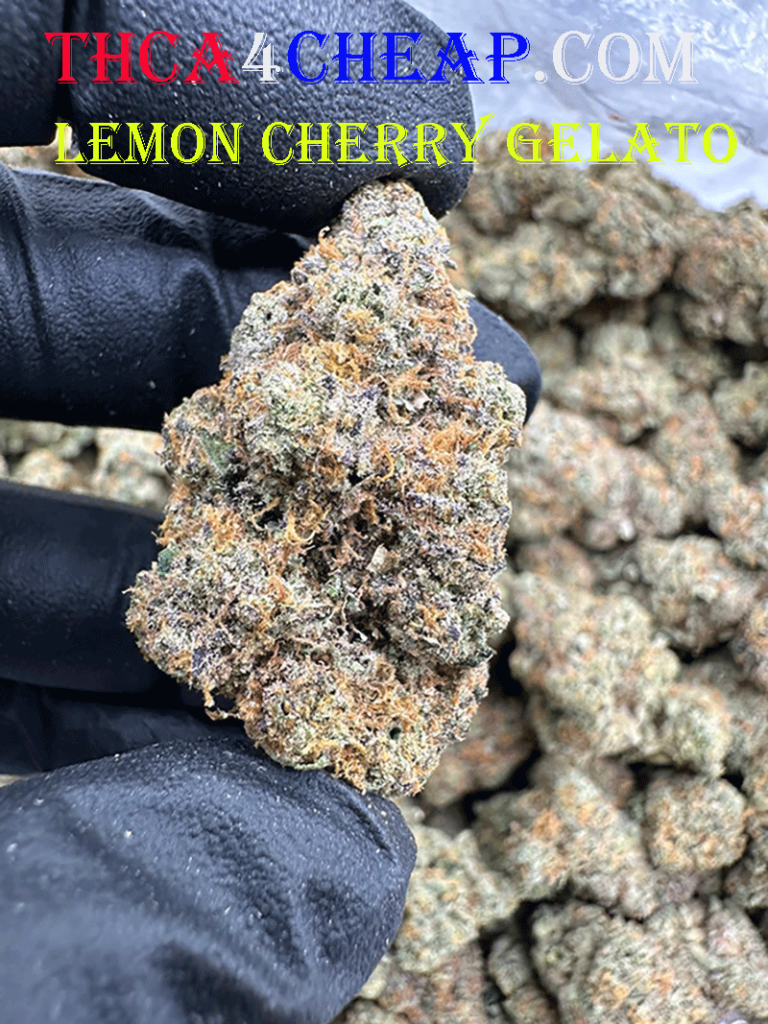 Lemon Cherry Gelato THCA Flower