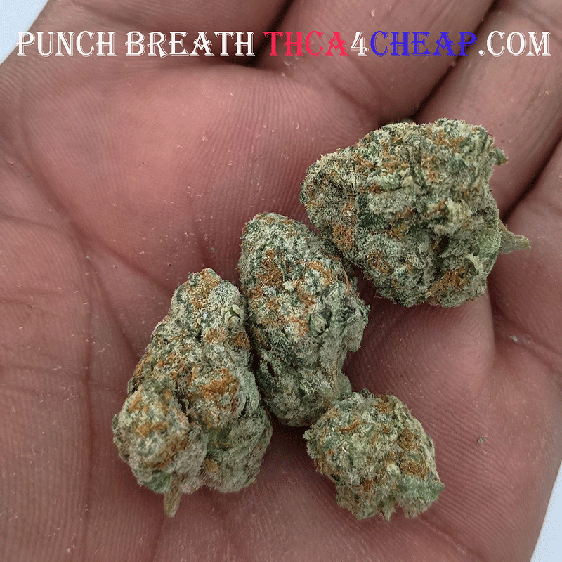 Punch_breath_THCA-4_CHEAP-Ready_for_Web