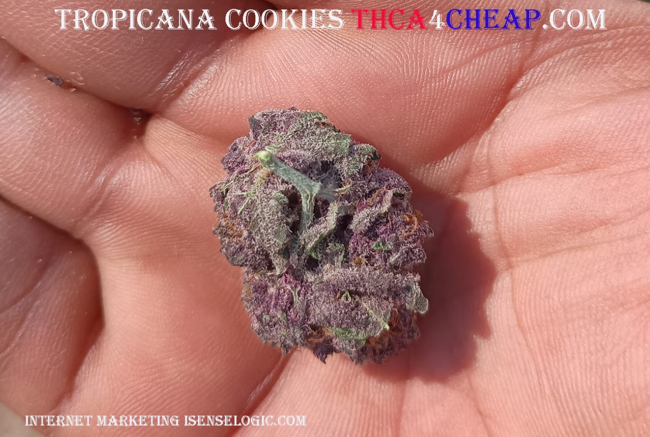 THCA4CHEAP.COM Privacy Policy