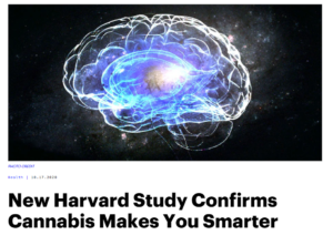 Cannabis Makes You Smarter