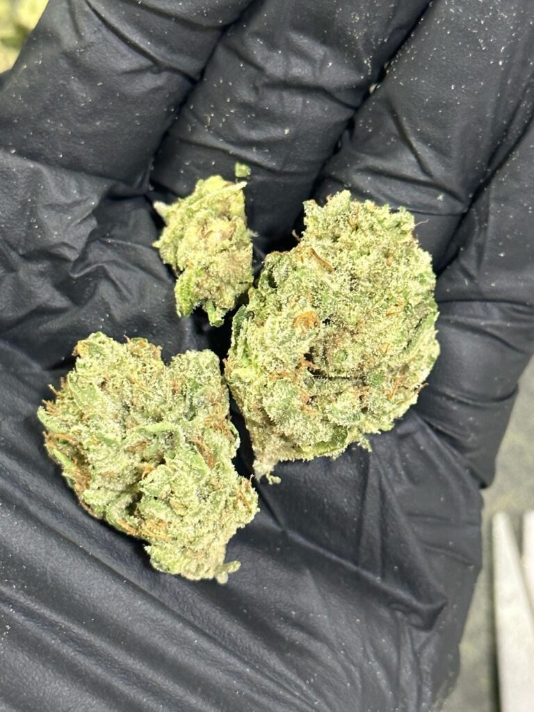 OG Kush Strain THCA Flower Deal 