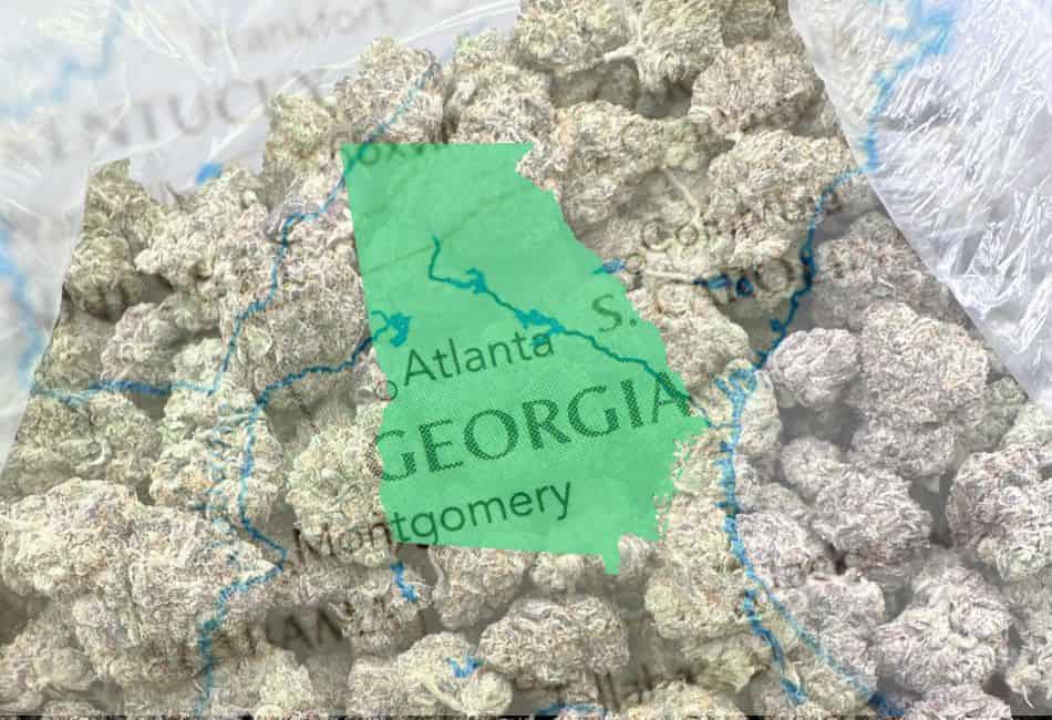 Where to buy THCA Flower in Georgia 