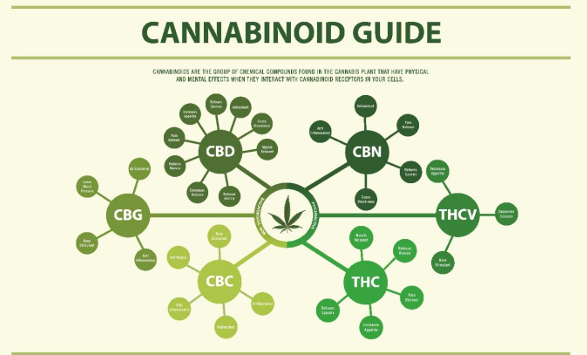 Cannabinoids- Thca4cheap.com